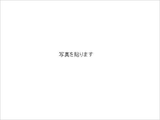 ʐ^